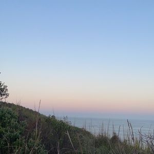 Meet your Posher, Tessa